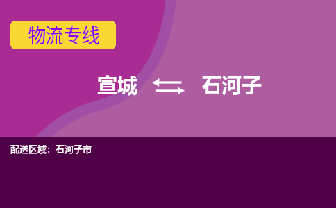 宣城到石河子物流公司要几天_宣城到石河子物流专线价格_宣城至石河子货运公司电话